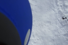 421283674