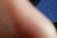 475629210